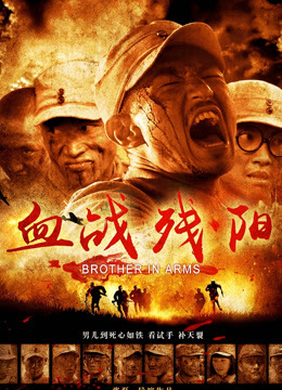 血戰(zhàn)殘陽(yáng)