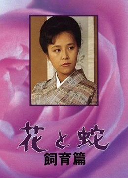 六月婷婷六月天