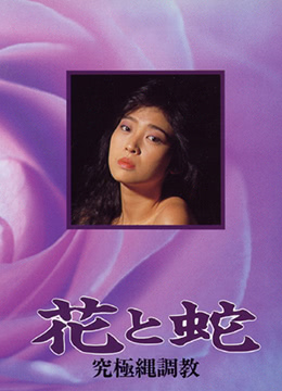 西方美食