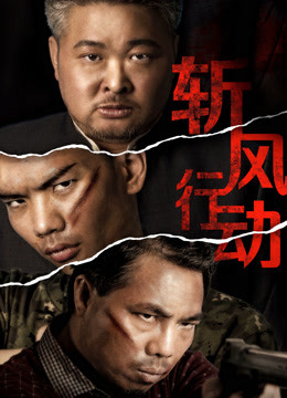 斬風行動